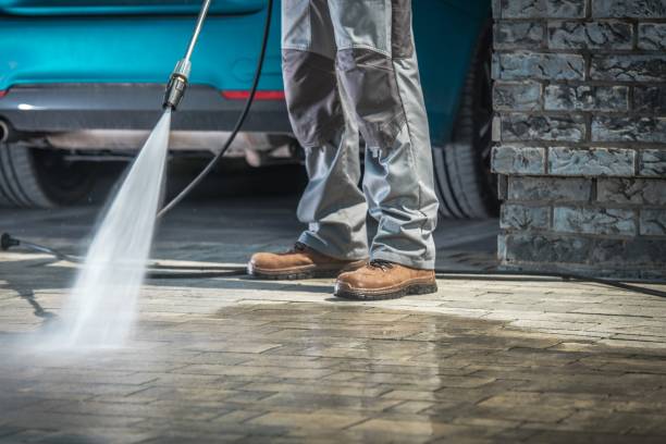 Best Playground Equipment Cleaning  in Nekoosa, WI
