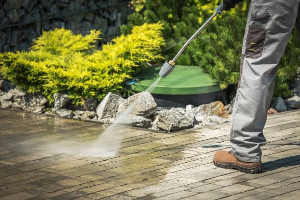 Best Roof Washing  in Nekoosa, WI