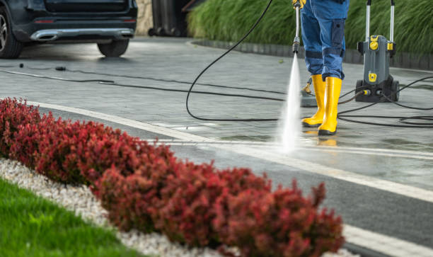 Best Fence Cleaning  in Nekoosa, WI